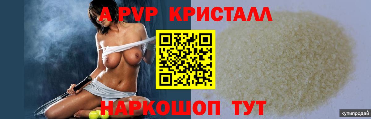 дарнет шоп  Вход с VPN  Alfa_PVP VHQ  Владивосток  Альфа ПВП СК КРИС 