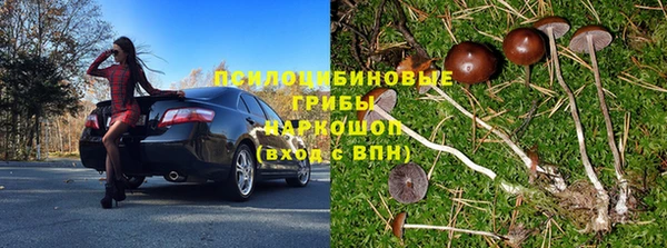 ГАЛЛЮЦИНОГЕННЫЕ ГРИБЫ Армянск