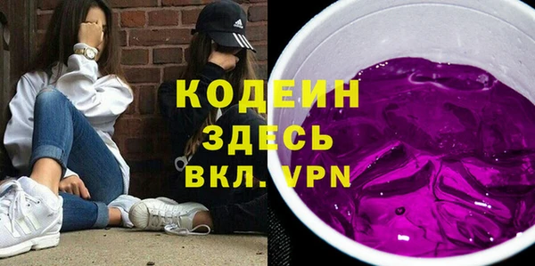 хмурый Арсеньев