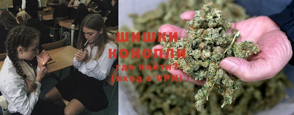 хмурый Арсеньев