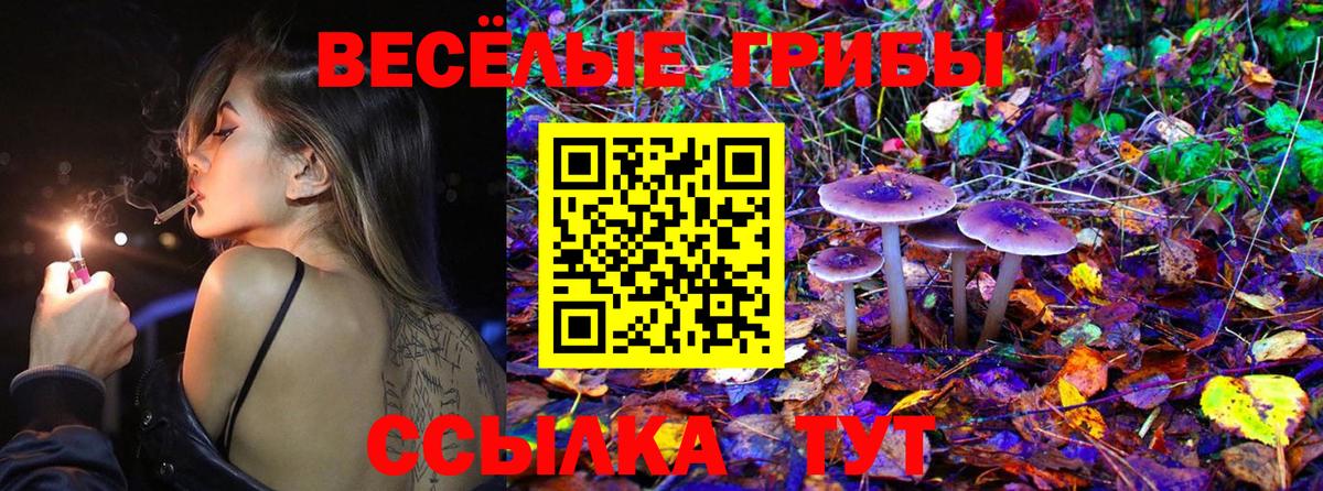 Псилоцибиновые грибы MAGIC MUSHROOMS  Псилоцибиновые грибы GOLDEN TEACHER  Вход с VPN  Владивосток 